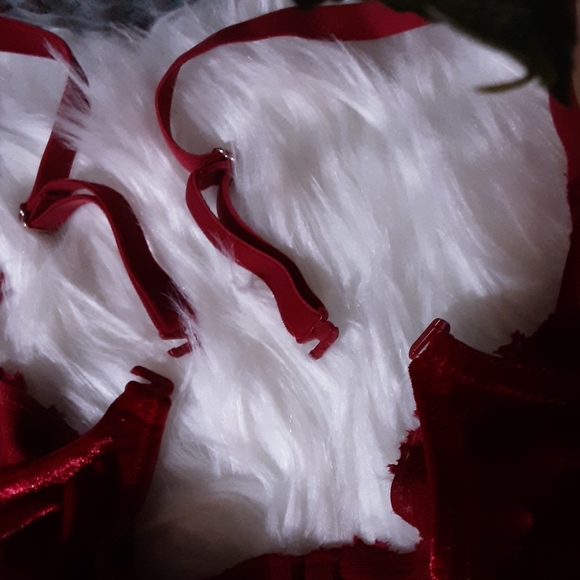 NWT VELVET RUBY RED VELVET BRA AND THONG 36D/MED. - Picture 5 of 6